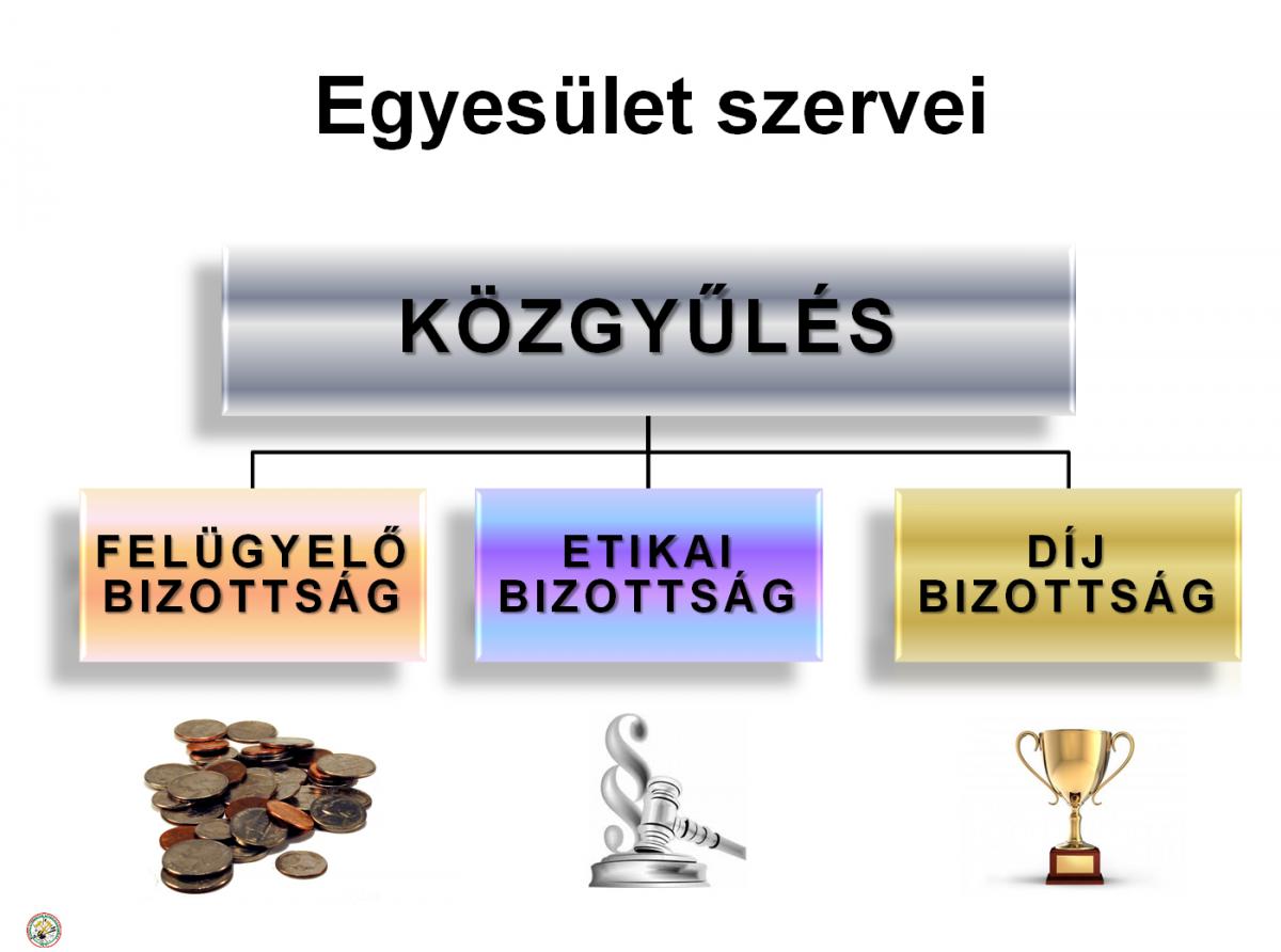 Szervezeti felépítés Szervezeti felépítés